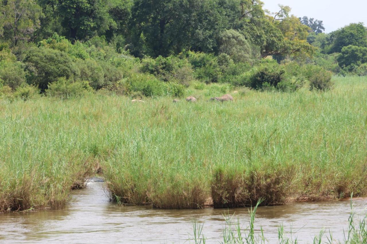 Sabie River Bush Lodge Хейзивю Екстериор снимка