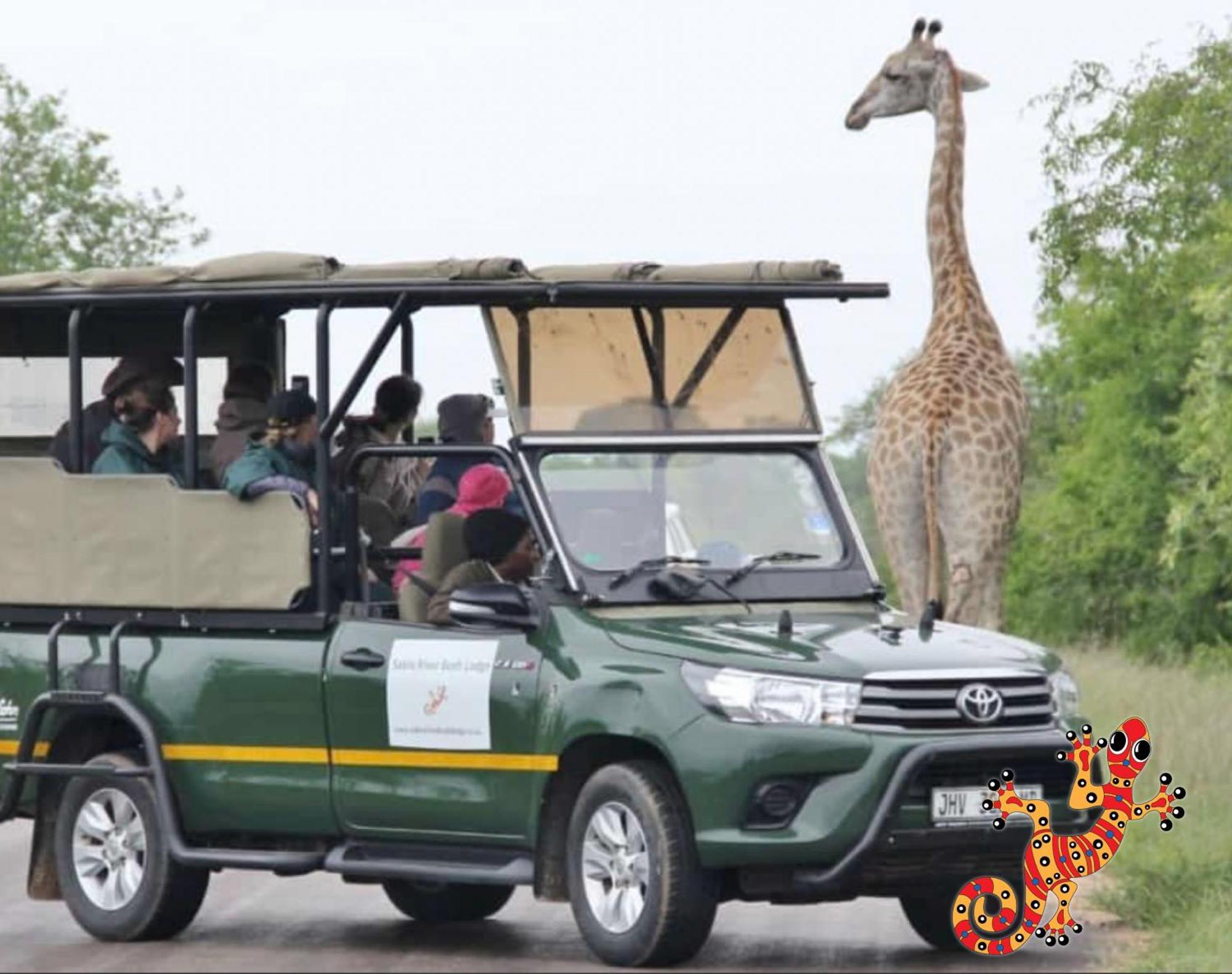 Sabie River Bush Lodge Хейзивю Екстериор снимка