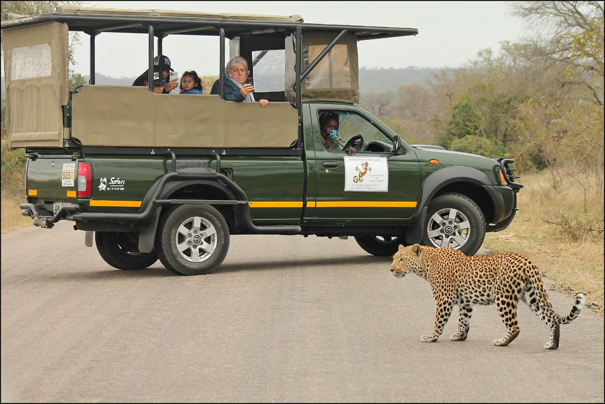 Sabie River Bush Lodge Хейзивю Екстериор снимка