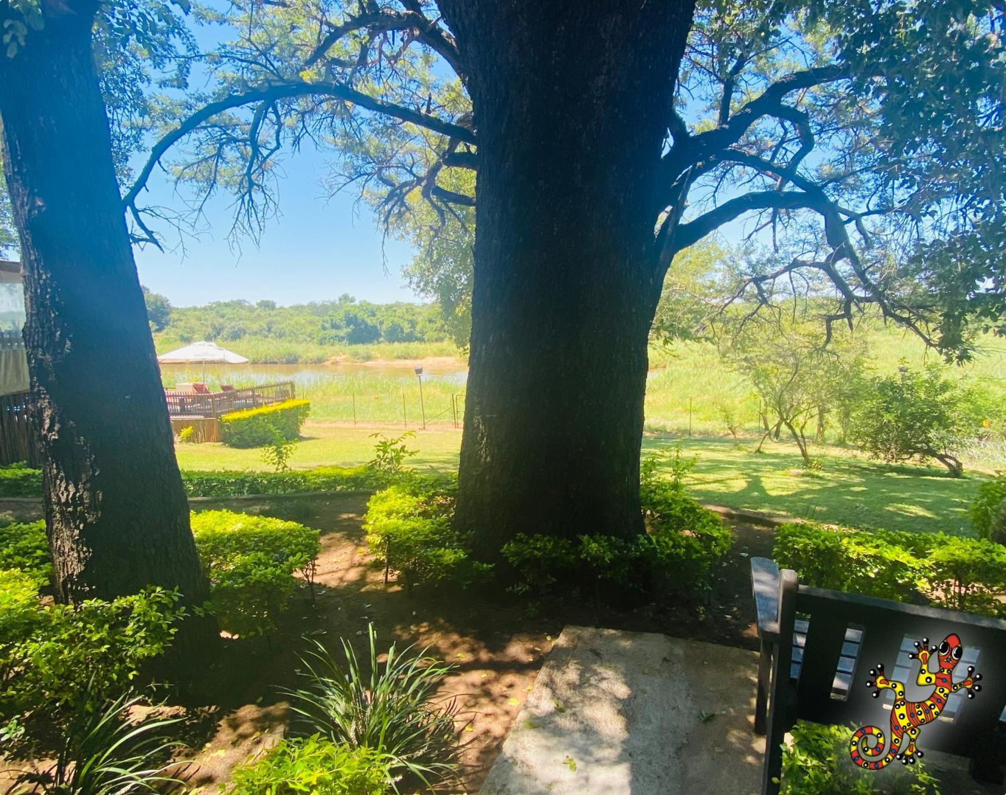 Sabie River Bush Lodge Хейзивю Екстериор снимка